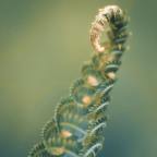 The importance of seasonality