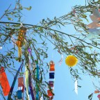 Tanabata, the Stars Festival